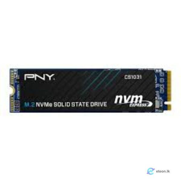 PNY 256GB CS1031 M.2 2280 NVMe Gen3x4 SSD